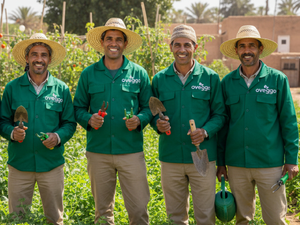 Oveggo professional gardening team working on landscape design