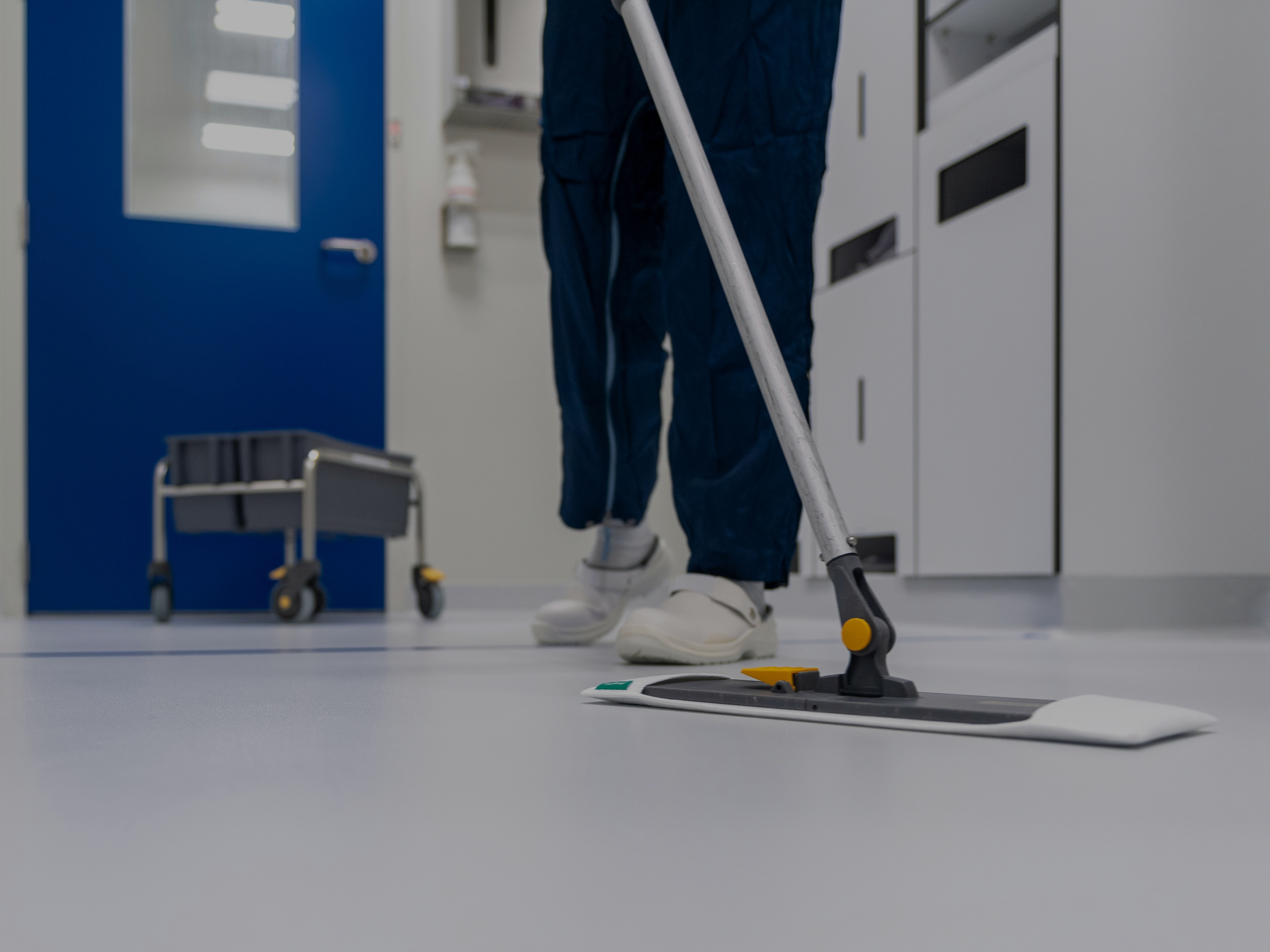 Outdoor cleaning services